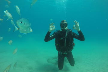 Scuba Diving Experience for Beginners in Playa de Puerto de Mogán