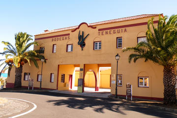 Visit Bodegas Teneguía winery in La Palma