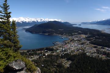 Day Trip Full-Day Mount Riley Hike from Haines near Haines, Alaska 