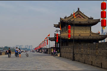 Private Day Tour of Terracotta Warriors Tour