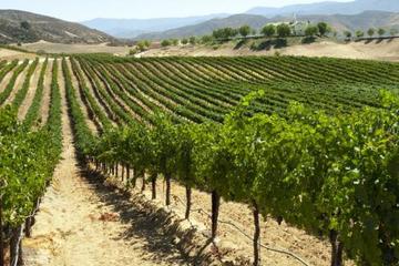 Napa and Sonoma PRIVATE GROUP Tour
