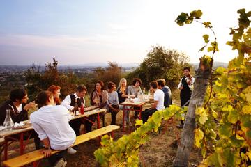 tour san jose Frederikshavn tour san jose Frederikshavn