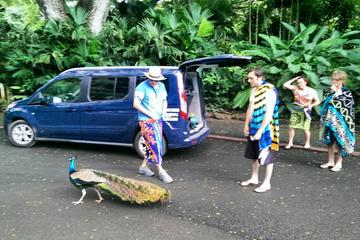 Shaka Tours Private Custom Tour