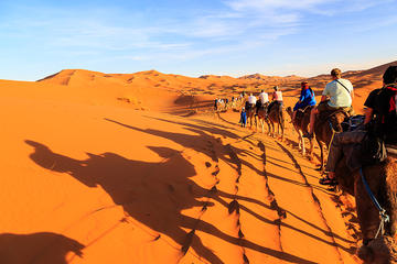 Dubai Sunrise Camel Trek in the Desert