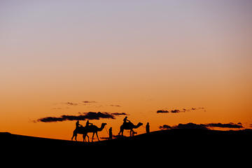 Dubai Sunset Camel Trekking