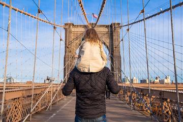 Private Full Day Tour of Brooklyn