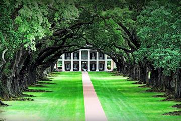Private Chauffeured and Historian Guided Plantation Country Tour of New Orleans