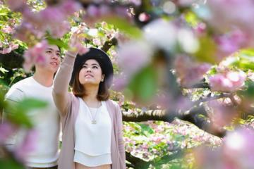 Travelshoot - 1-2 Hour Private Photo Session Tokyo