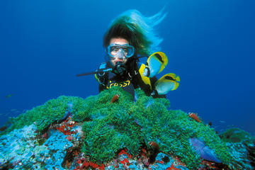 PADI Discover Scuba Diving in Bavaro