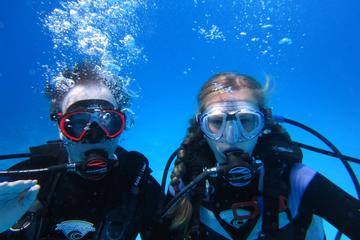 PADI Discover Scuba Diving in Bayahibe