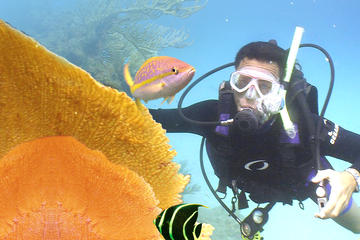 PADI Discover Scuba Diving in Cozumel