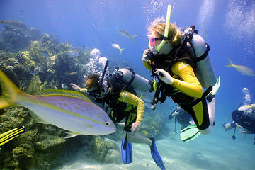 PADI Discover Scuba Diving in Puerto Aventuras