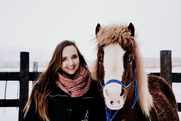 Photograph and feed Icelandic horses