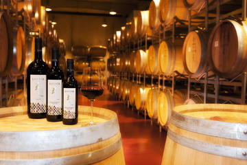 Wine tasting - 1 Day Tour