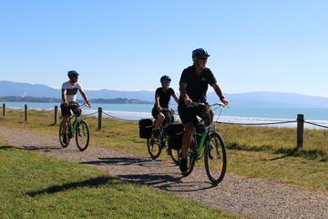 Full-Day Self-Guided Cycle and Sail Adventure from Nelson