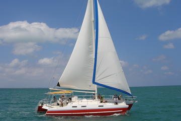 Stingray City and Coral Gardens Catamaran Cruise