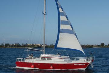 Stingray City and Snorkeling by Catamaran from George Town