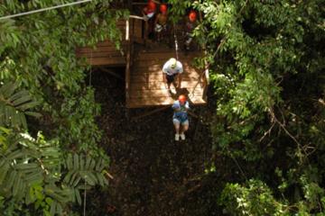 Rainforest Canopy Adventure