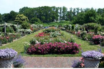 Brooklyn Botanic Garden Admission with 3-Course Dining at Yellow Magnolia Cafe