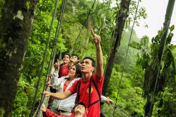 ARENAL HANGING BRIDGES