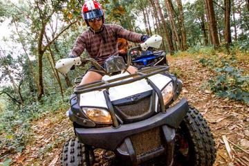 ATV Quad Bike Adventure in Chiang Mai