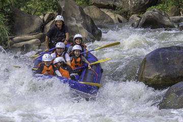 Whitewater Rafting Adventure in Chiang Mai