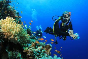 Two Tank Scuba Dive in St Thomas
