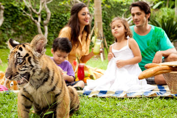 Bali Zoo with Relaxation Time at Halo Bali Spa