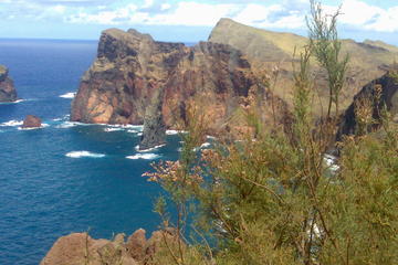 South East Tour Sunday Flea Market from Funchal