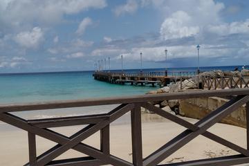 Walking Tour of Speightstown and its Museum - The Forgotten Town