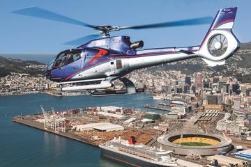 15-Minute Wellington Harbour Helicopter Flight