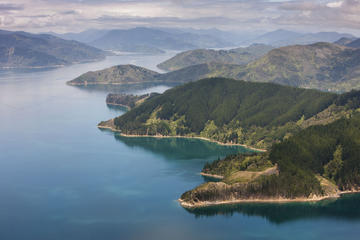 Bay of Many Coves Helicopter Tour with 3-Course Lunch from Wellington