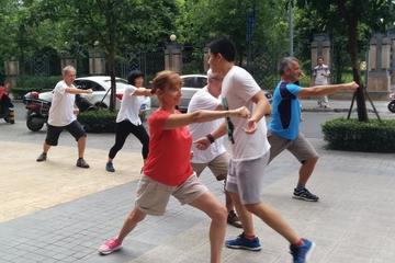 Small Group 2-Hour Kungfu Lesson in Chengdu