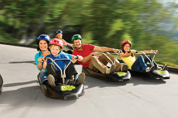 Deluxe Tauranga Family Shore Excursion: Rotorua Geothermal Geyser Tour and Skyline with Luge Rides Combo, Including Lunch