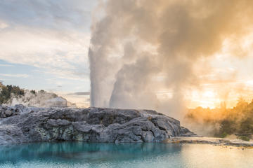 Geothermal Living Maori Village & Rainbow Springs Small Group Rotorua Day Combo Tour