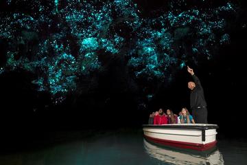 Hobbiton Movie Set and Waitomo Glowworm Caves: Tauranga Shore Excursion