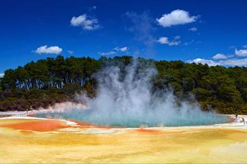 Private Wai-O-Tapu : Lady Knoxs Geyser : Champagne Lake : Polynesian Spa or Agrodome Shore Excursion