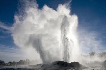 Rotorua Geothermal Geyser Tour and Kiwi Fruit Orchard Themed Cart Ride