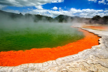Wai-O-Tapu and Hobbiton Movie Set Tour including Lady Knox Geyser, Day Tour From Rotorua