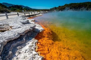 Wai-O-Tapu : Lady Knox Geyser : Champagne Lake : Polynesian Spa Resort: Combo Day Tour Rotorua