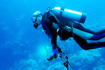 One Day PADI Scuba Diving Adventure from San Jose