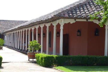 Santa Rita Vineyard