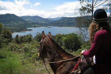 Half-Day of Horseback Riding along Mountain Trails in Bogota