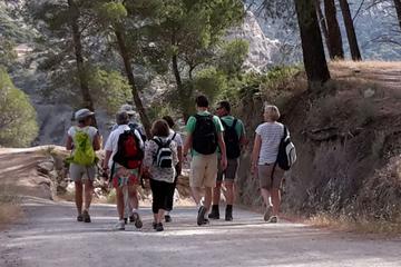 Day Hike in Marbella