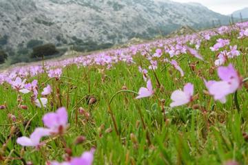 The Bandolero Route - A hiking week through the Andalusian hinterland in 5 stages