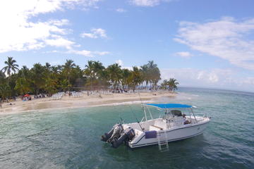 Samana Day Trip: Whale Watching and Bacardi Island