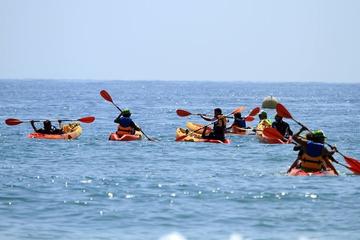 Sit on Top Kayak Tour in Taghazout from Agadir