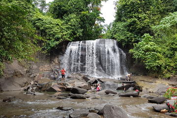 4 Days 3 Nights Tangkahan & Bukit Lawang