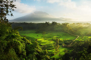 5 Days 4 Nights East Bali Delights (Standard)