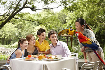 7 Days 6 Nights Family Wildlife Getaway (Standard)